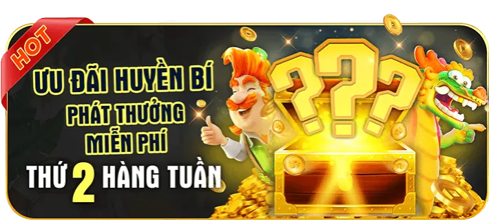 Ưu đãi độc quyền cho thành viên fly88e